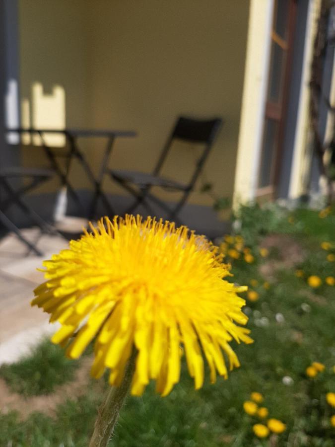 Hotel Landgasthof Frankenstern โกสไวน์ชไตน์ ภายนอก รูปภาพ