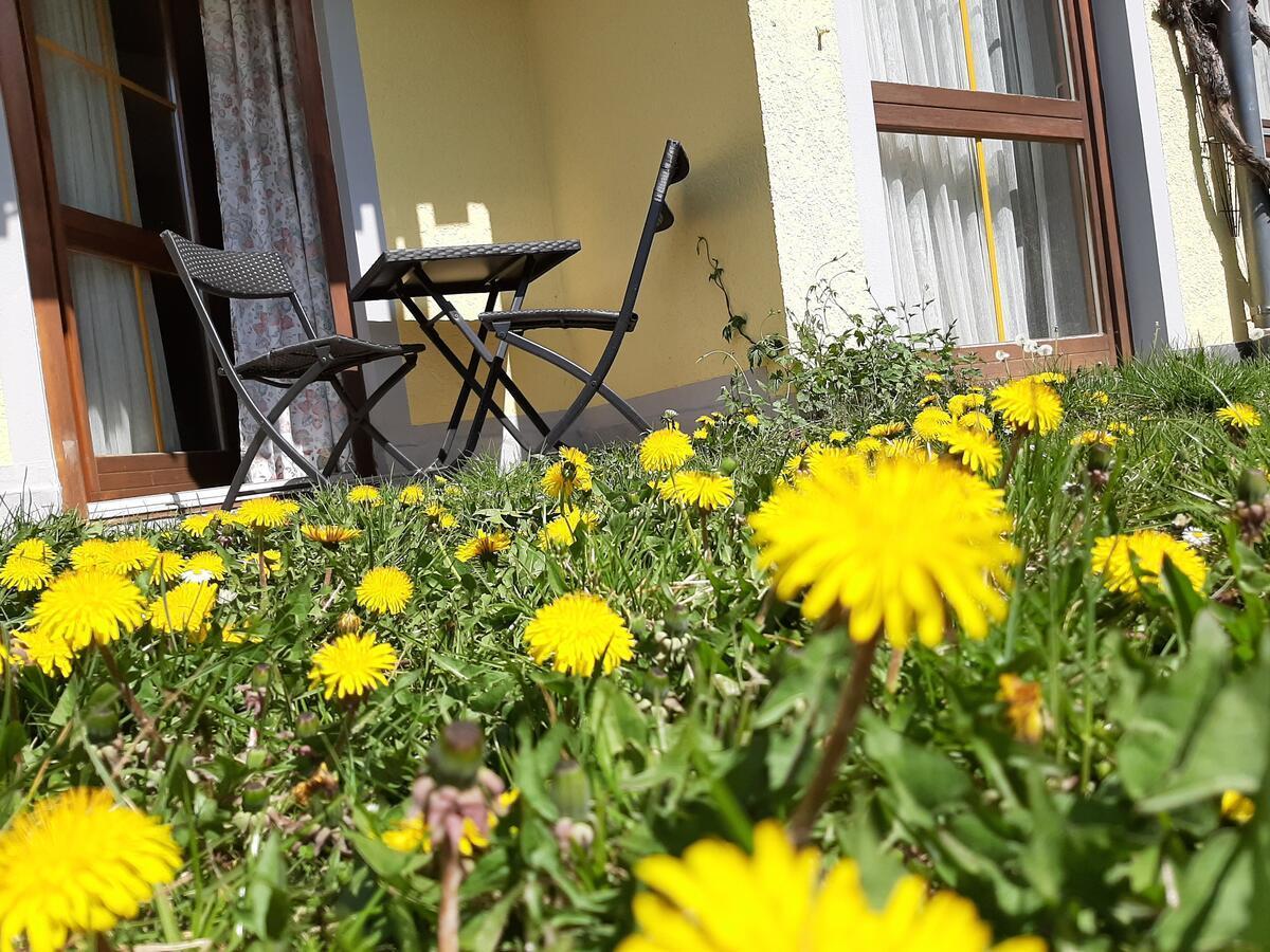 Hotel Landgasthof Frankenstern โกสไวน์ชไตน์ ภายนอก รูปภาพ